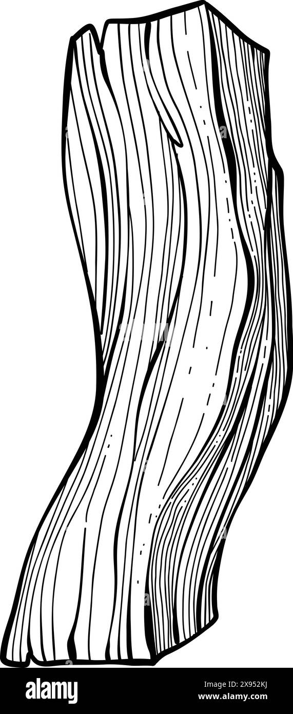 Palo santo bâton. Bâton brûlant d'arôme dessiné à la main, élément rituel et symbole sacré pour la sorcellerie, bois d'aromathérapie boho. Vecteur d'arôme, ésotérique h Illustration de Vecteur