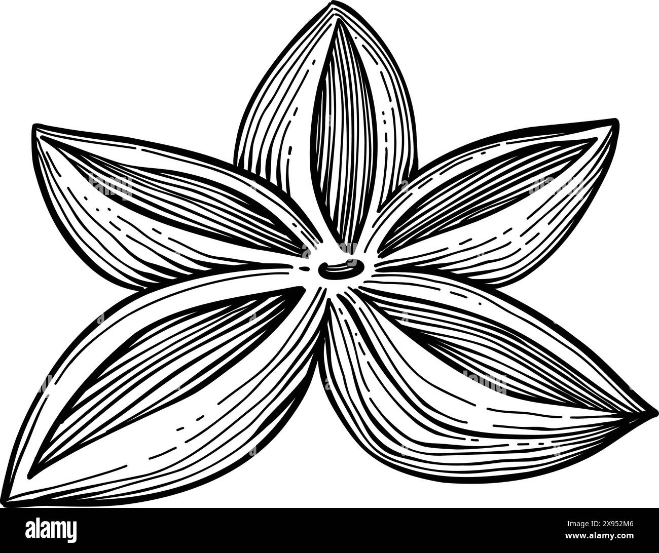 Palo santo bâton. Bâton brûlant d'arôme dessiné à la main, élément rituel et symbole sacré pour la sorcellerie, bois d'aromathérapie boho. Vecteur d'arôme, ésotérique h Illustration de Vecteur