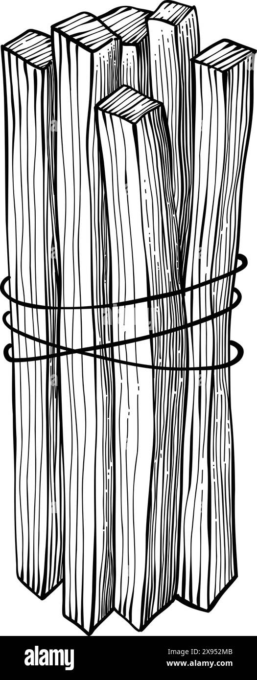 Palo santo bâton. Bâton brûlant d'arôme dessiné à la main, élément rituel et symbole sacré pour la sorcellerie, bois d'aromathérapie boho. Vecteur d'arôme, ésotérique h Illustration de Vecteur