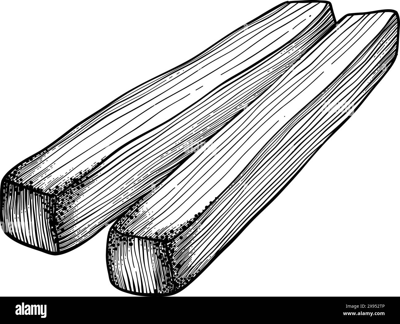 Palo santo bâton. Bâton brûlant d'arôme dessiné à la main, élément rituel et symbole sacré pour la sorcellerie, bois d'aromathérapie boho. Vecteur d'arôme, ésotérique h Illustration de Vecteur