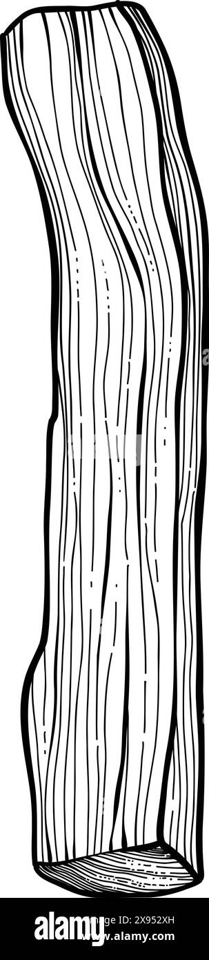 Palo santo bâton. Bâton brûlant d'arôme dessiné à la main, élément rituel et symbole sacré pour la sorcellerie, bois d'aromathérapie boho. Vecteur d'arôme, ésotérique h Illustration de Vecteur