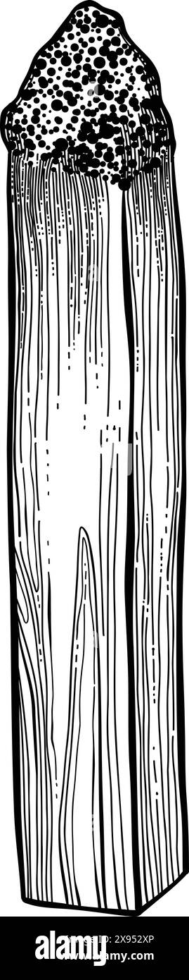 Palo santo bâton. Bâton brûlant d'arôme dessiné à la main, élément rituel et symbole sacré pour la sorcellerie, bois d'aromathérapie boho. Vecteur d'arôme, ésotérique h Illustration de Vecteur