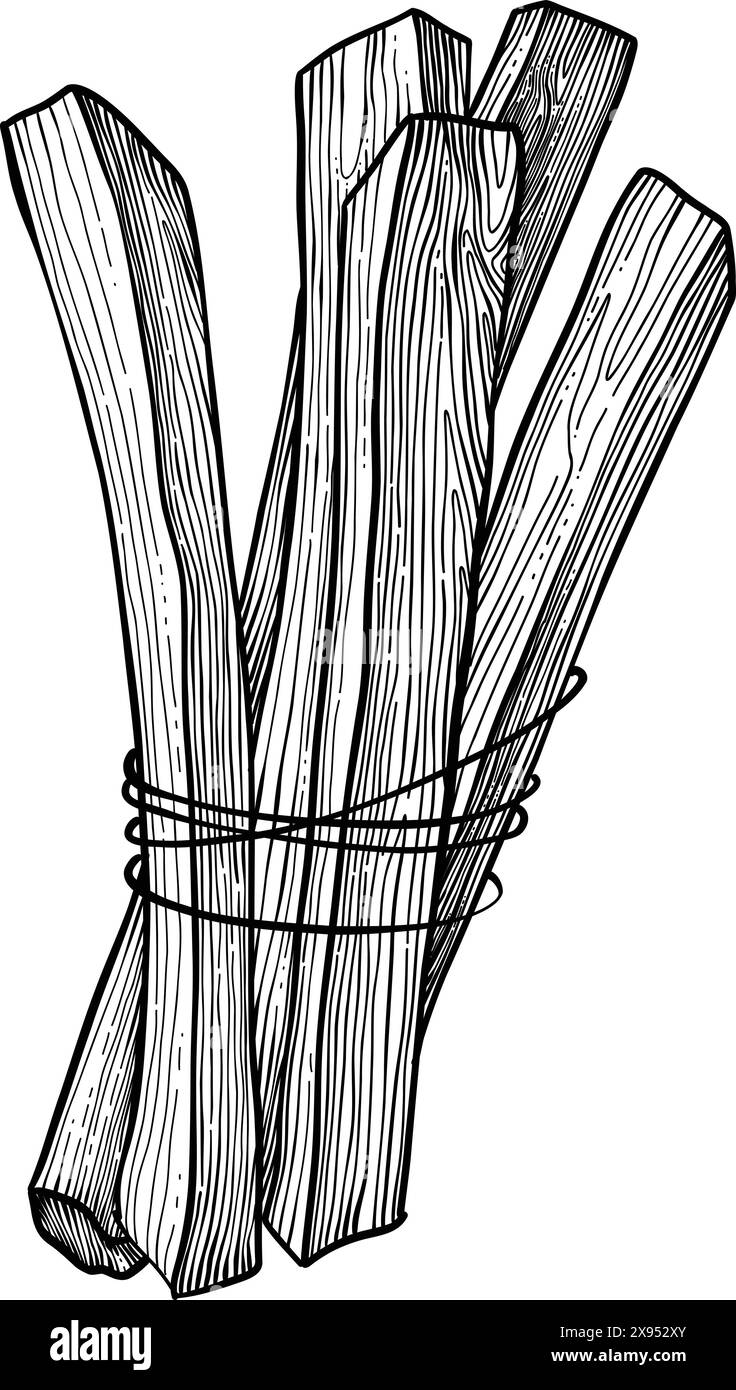Palo santo bâton. Bâton brûlant d'arôme dessiné à la main, élément rituel et symbole sacré pour la sorcellerie, bois d'aromathérapie boho. Vecteur d'arôme, ésotérique Illustration de Vecteur