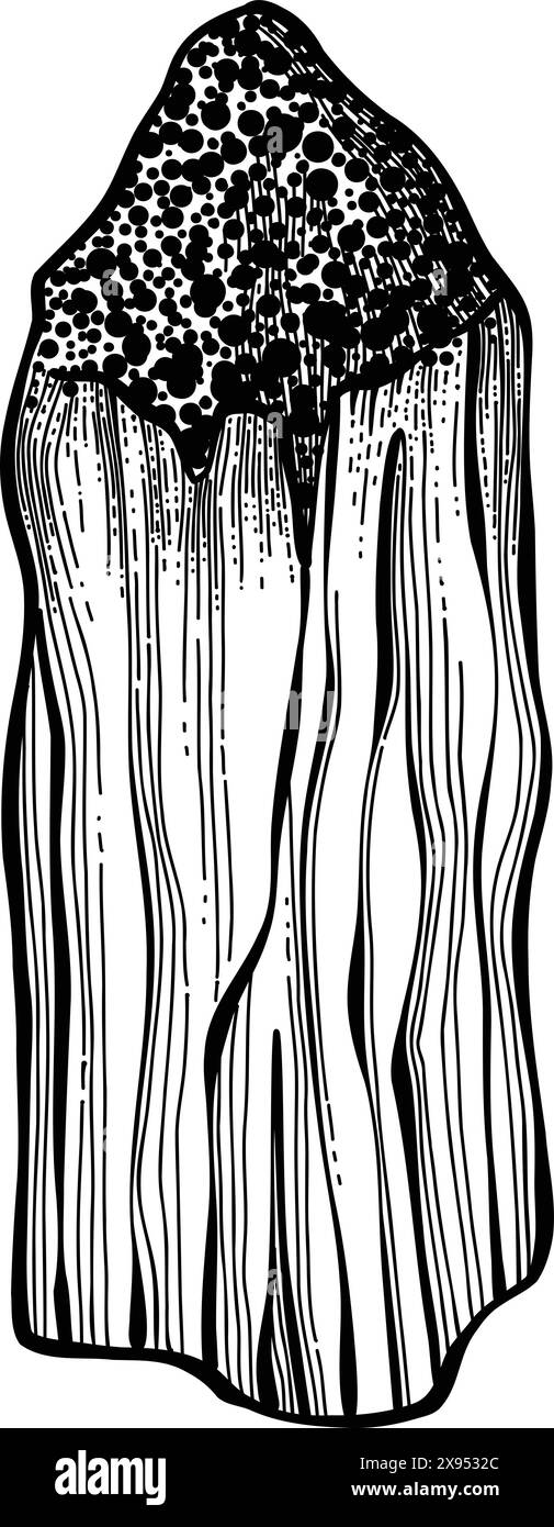 Palo santo bâton. Bâton brûlant d'arôme dessiné à la main, élément rituel et symbole sacré pour la sorcellerie, bois d'aromathérapie boho. Vecteur d'arôme, ésotérique Illustration de Vecteur
