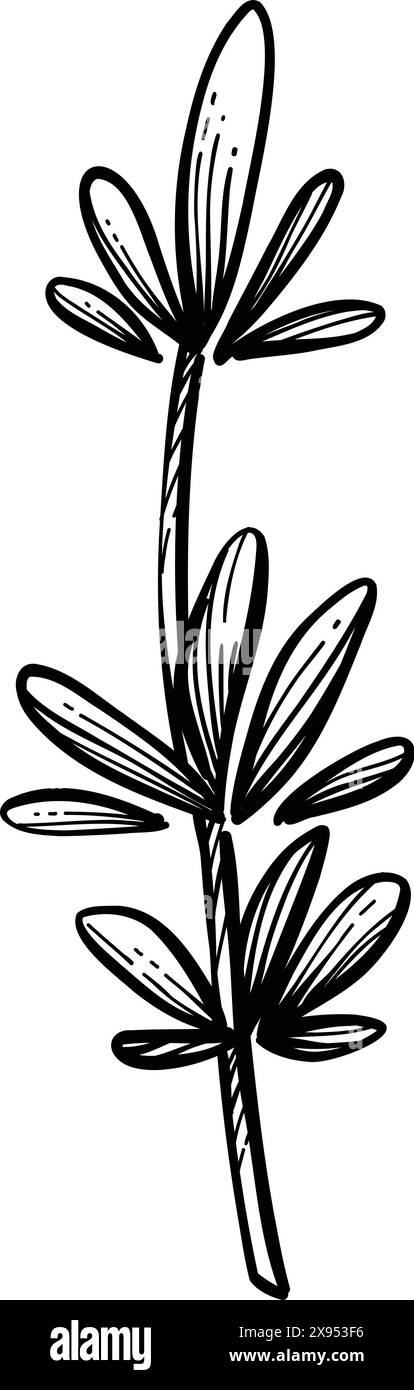 Palo santo bâton. Bâton brûlant d'arôme dessiné à la main, élément rituel et symbole sacré pour la sorcellerie, bois d'aromathérapie boho. Vecteur d'arôme, ésotérique Illustration de Vecteur