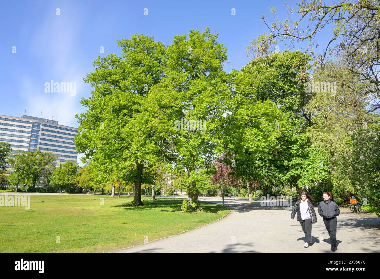 Preußenpark, Wilmersdorf, Charlottenburg-Wilmersdorf district, Berlin, Allemagne, Preußenpark, Wilmersdorf, Bezirk Charlottenburg-Wilmersdorf, Berlin, D. Banque D'Images