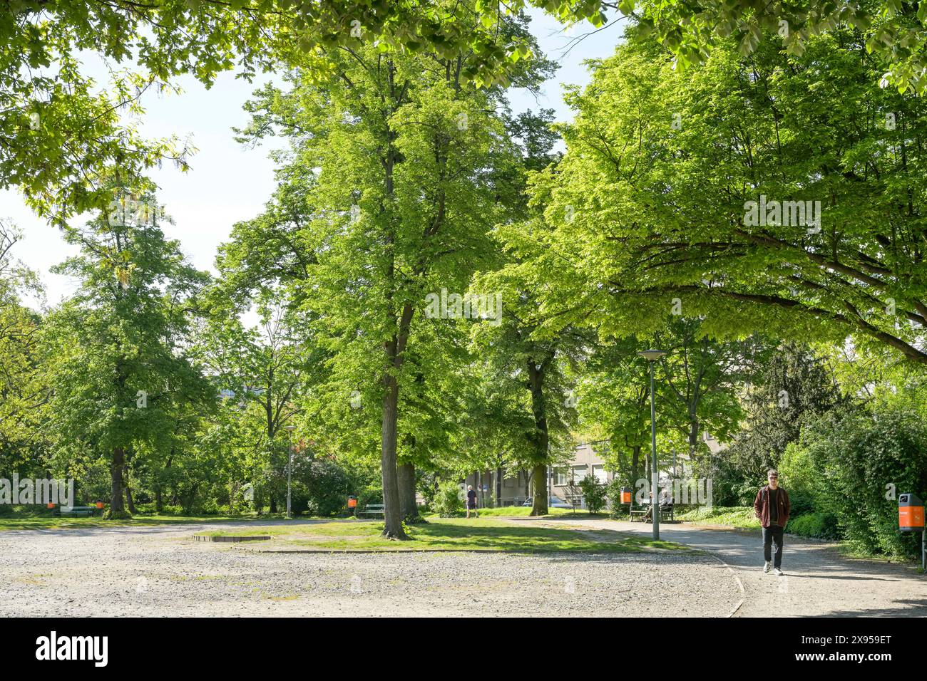 Preußenpark, Wilmersdorf, Charlottenburg-Wilmersdorf district, Berlin, Allemagne, Preußenpark, Wilmersdorf, Bezirk Charlottenburg-Wilmersdorf, Berlin, D. Banque D'Images