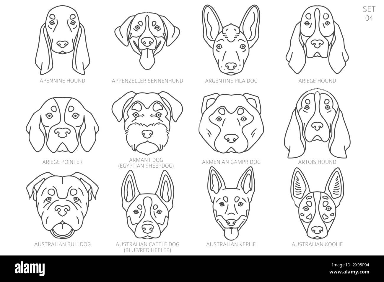 Silhouettes de tête de chien dans l'ordre alphabétique. Toutes races de chiens. Conception vectorielle de ligne simple. Illustration vectorielle Illustration de Vecteur