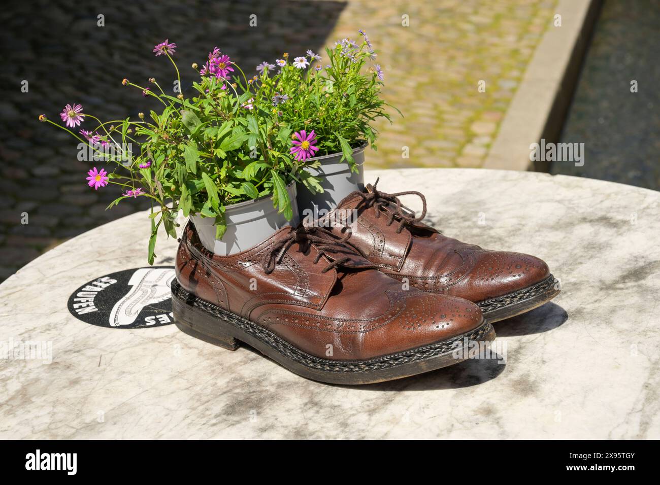 Topfpflanze in Herrenschuhen, Werbung für ein Schuhhaus, Staufen im Breisgau, Baden-Württemberg, Deutschland *** plante en pot dans des chaussures pour hommes, publicité pour un magasin de chaussures, Staufen im Breisgau, Baden Württemberg, Allemagne Banque D'Images