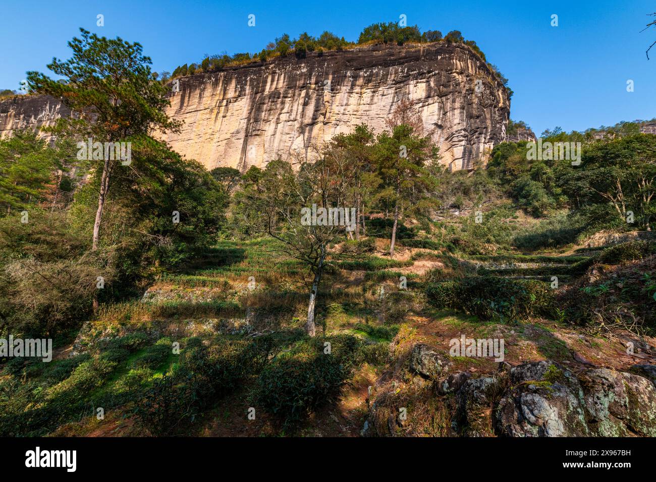 Montagnes de Wuyi, site du patrimoine mondial de l'UNESCO, Fujian, Chine, Asie Banque D'Images