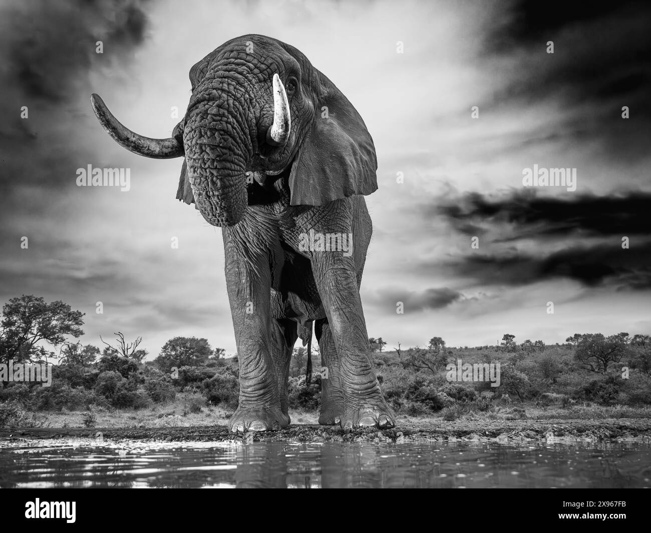 Afrique Afrique Africain Africain Africain Africain Banque D images afrique-afrique-africain-africain-africain-africain-banque-d-images