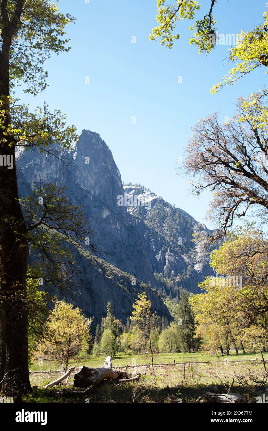 Cathedral Rocks and Spires, parc national de Yosemite, Californie, États-Unis Banque D'Images