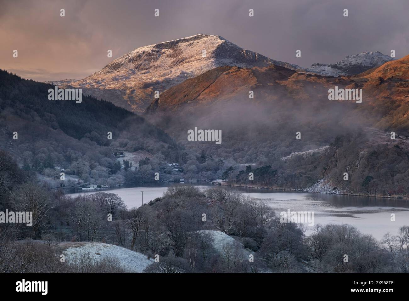 Moel Hebog sur Llyn Gwynant en hiver, Nant Gwynant, Parc National de Snowdonia (Eryri), pays de Galles du Nord, Royaume-Uni, Europe Banque D'Images