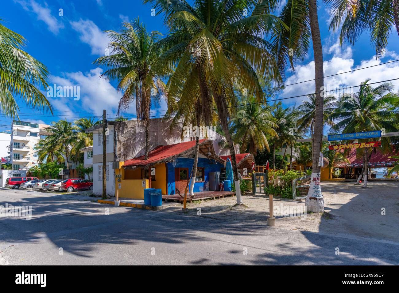 Vue du bar coloré à Puerto Morelos, Côte des Caraïbes, péninsule du Yucatan, Riviera Maya, Mexique, Amérique du Nord Banque D'Images Vue du bar coloré à Puerto Morelos, Côte des Caraïbes, péninsule du Yucatan, Riviera Maya, Mexique, Amérique du Nord Banque D'Images