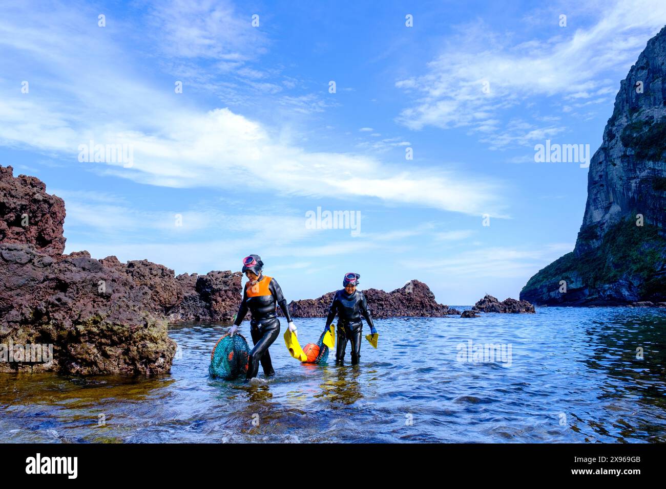 Haenyeo femmes, célèbres pour plonger dans leurs quatre-vingts et retenir leur souffle pendant deux minutes, plonger pour la conque, poulpe, algues et autres mers Banque D'Images