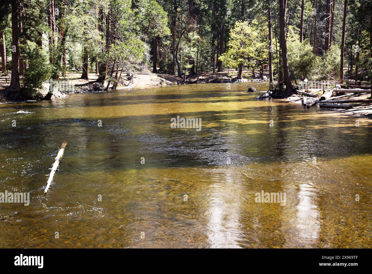 Tenaya Creek, parc national de Yosemite, Californie, États-Unis Banque D'Images