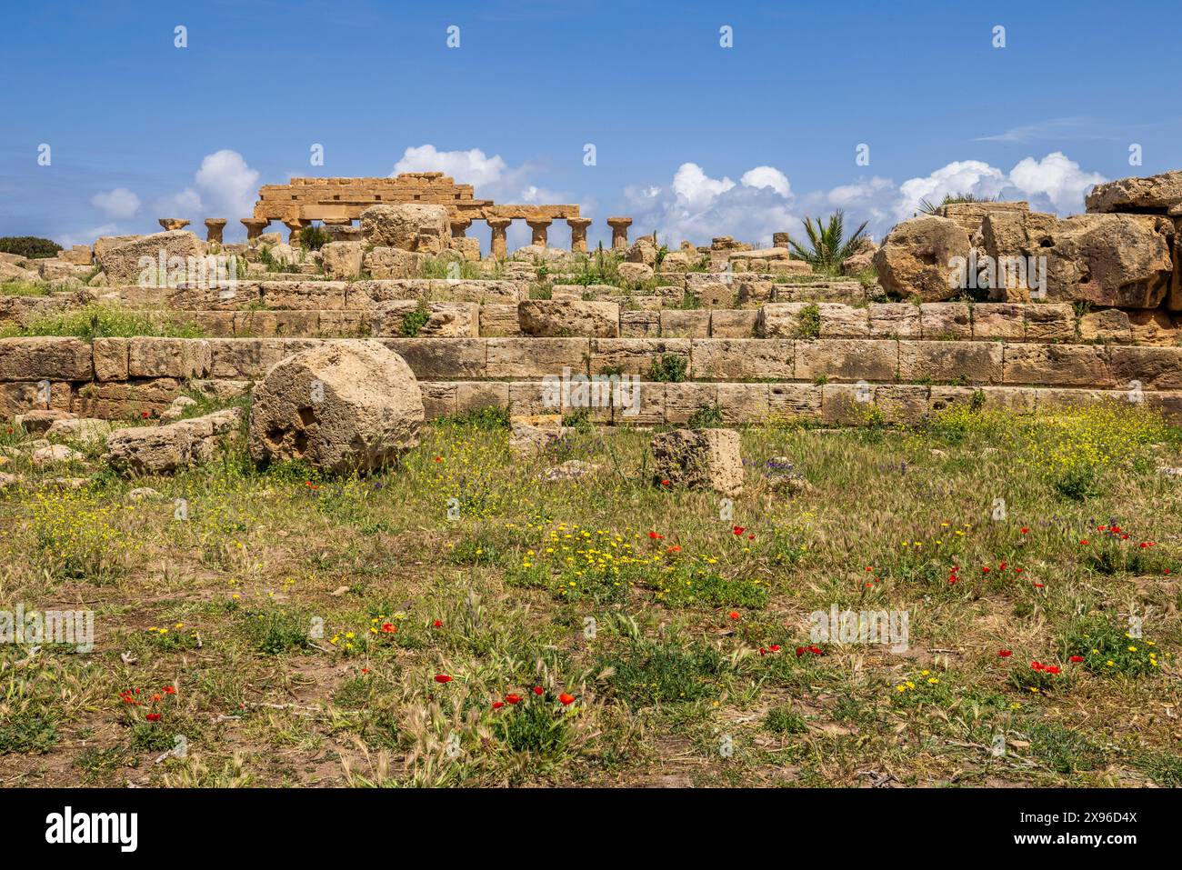 Les ruines du temple grec antique à Selinunte, Sicile Banque D'Images