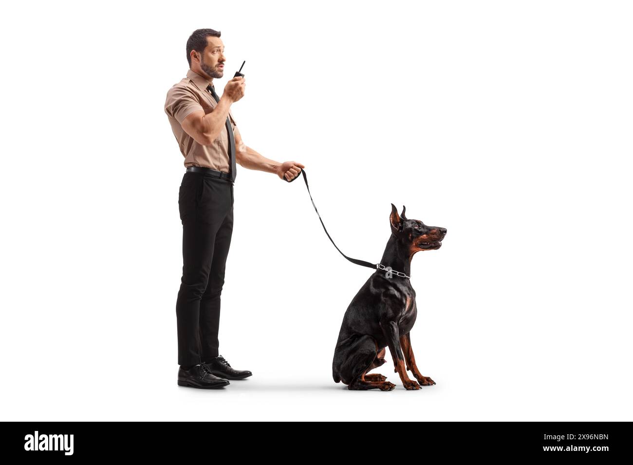 Garde de sécurité avec un chien doberman utilisant un talkie-walkie isolé sur fond blanc Banque D'Images