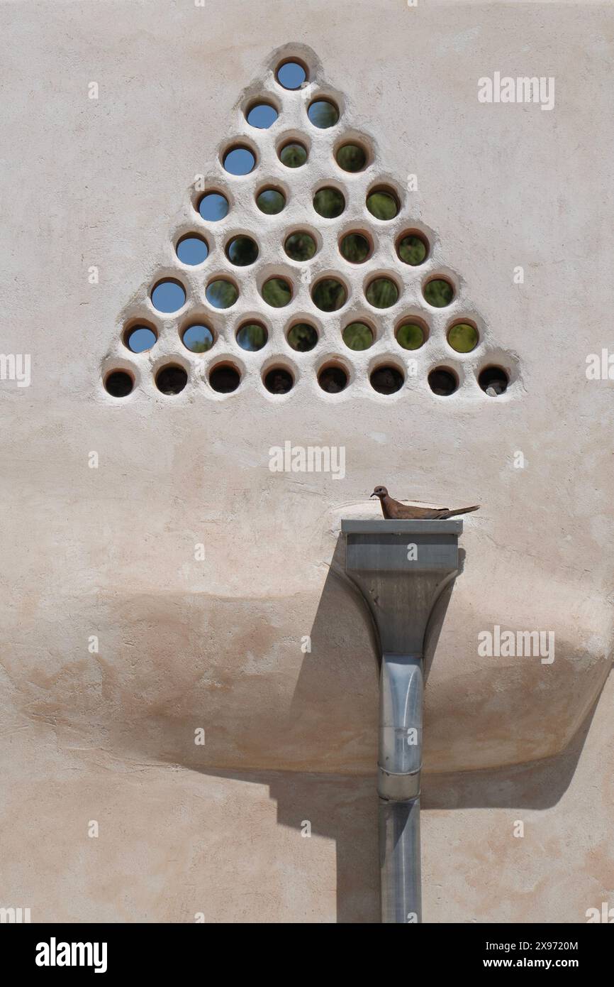 Une colombe riante nichant dans une gouttière d'eau de pluie sous un kizan, un arrangement triangulaire de tuyaux d'argile fait pour maintenir la circulation de l'air et l'intimité dans une maison arabe Banque D'Images