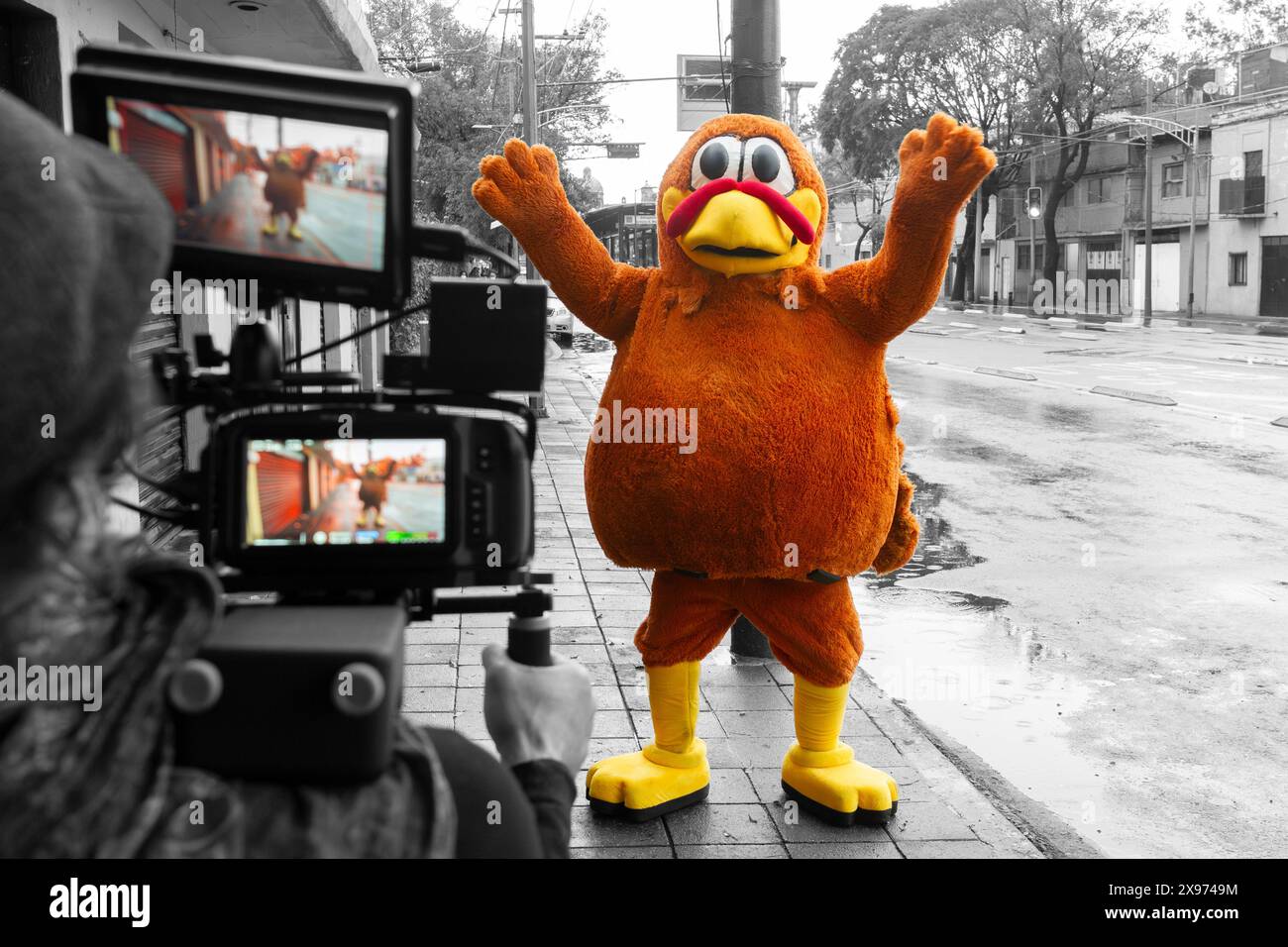 Filmer une mascotte un jour de pluie Banque D'Images
