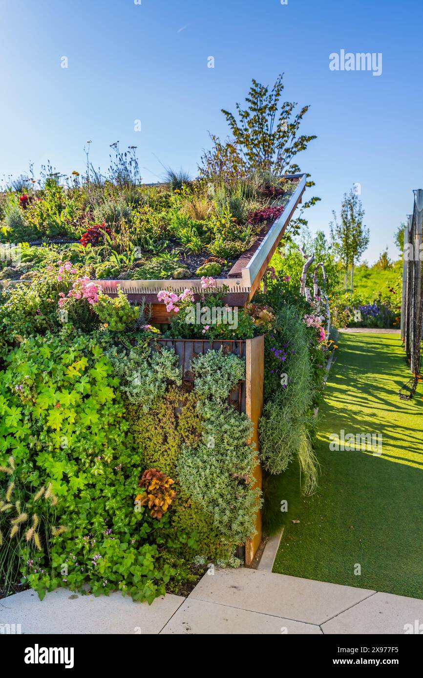 Abri de jardin avec toiture verte et jardin vertical, concept de toiture verte Banque D'Images