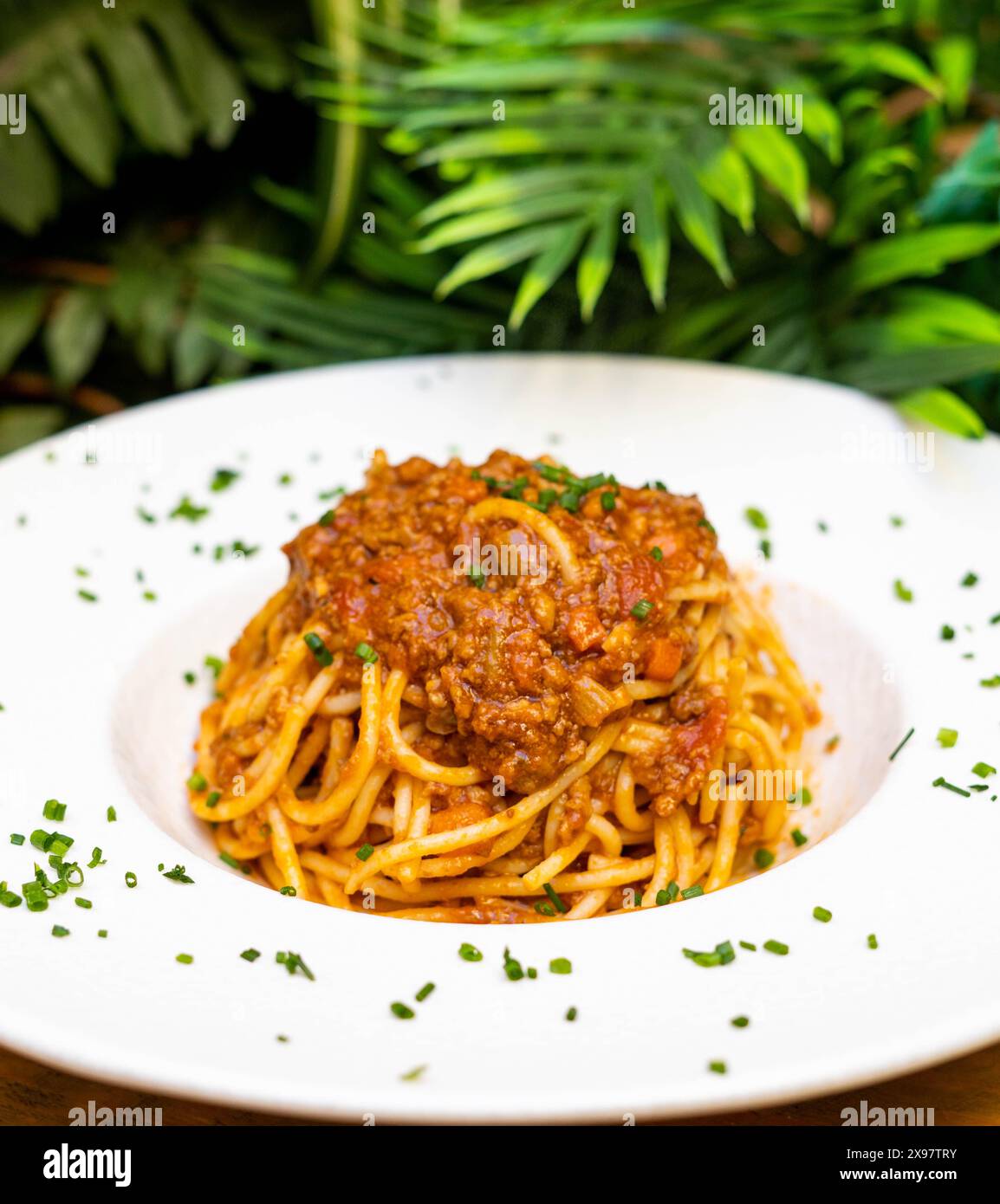 Une assiette de spaghettis à la sauce bolognaise idéale pour un menu enfant Banque D'Images