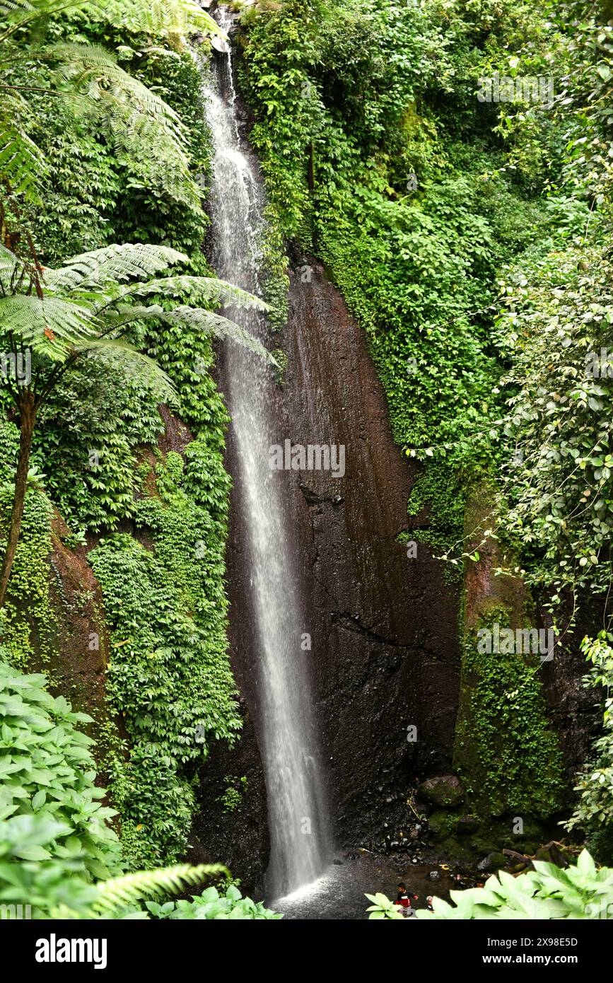 Vue d'une cascade, une ressource en eau renouvelable située au pied du mont Salak à Bogor, Java Ouest, Indonésie. Banque D'Images