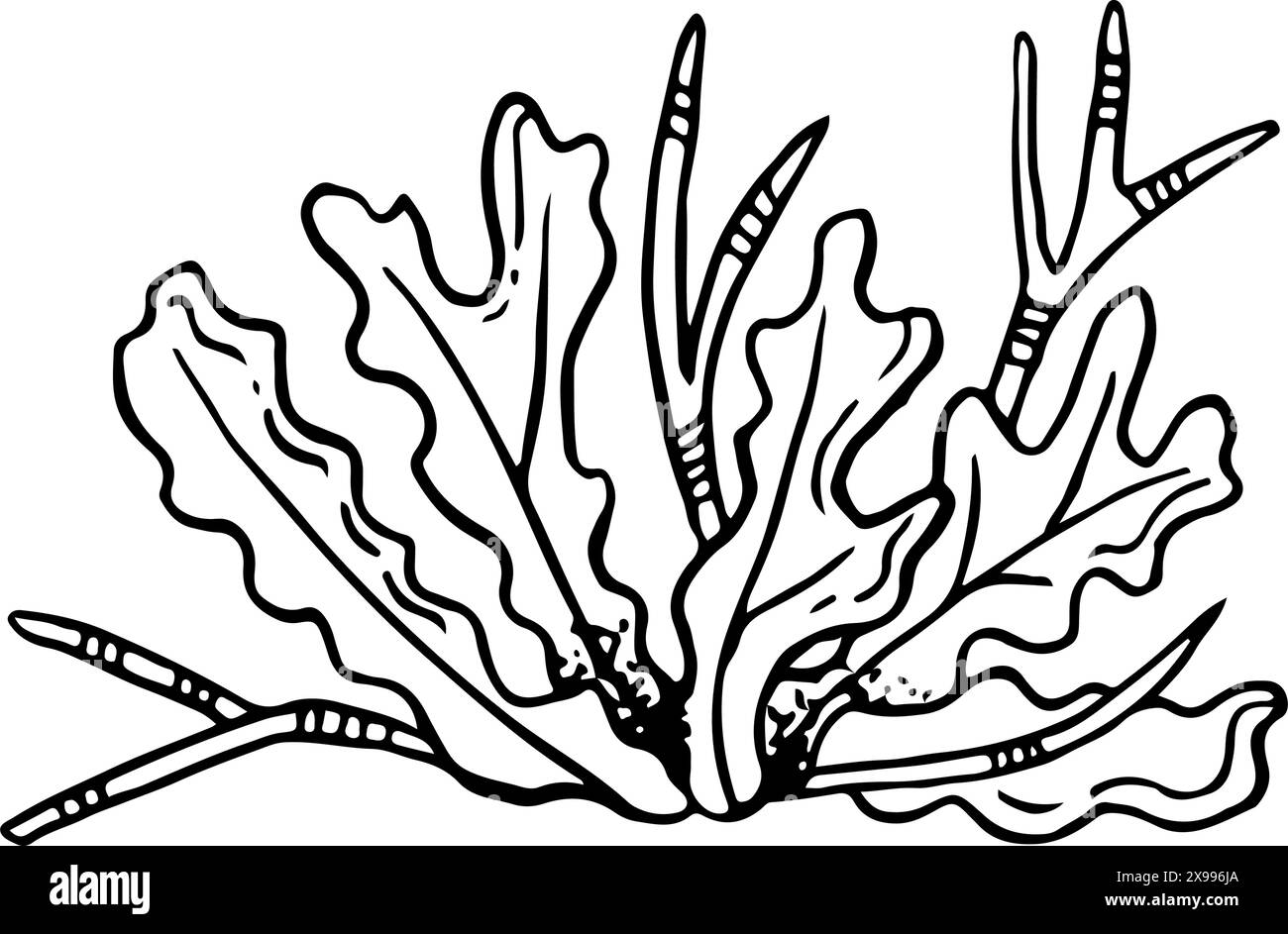 Illustration de ligne d'algues noires et blanches Illustration de Vecteur