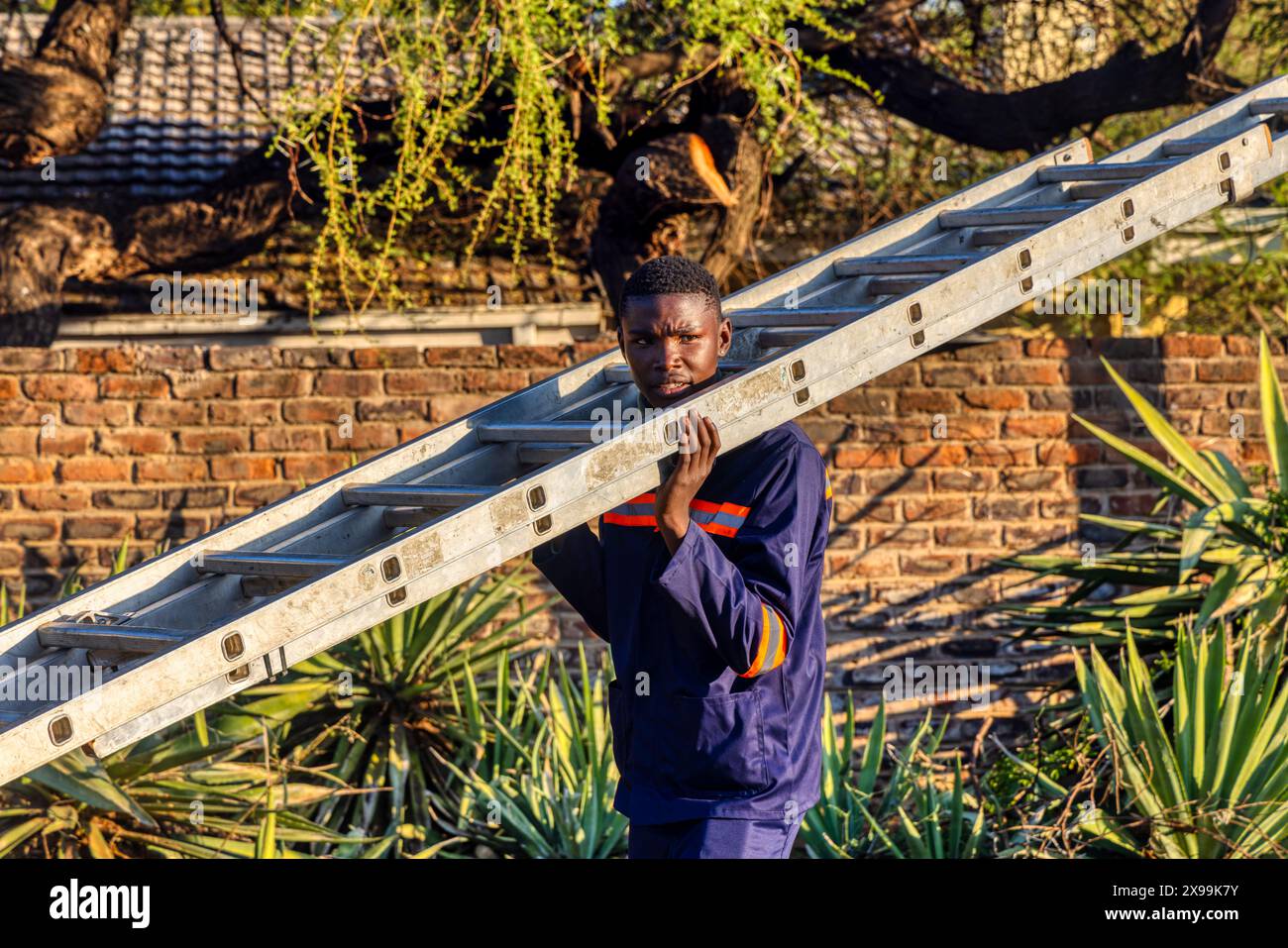 un technicien africain porte un escabeau sur ses épaules à l'extérieur Banque D'Images