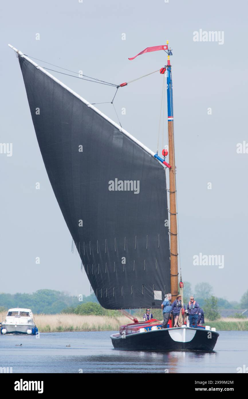 Les gens naviguent sur un bateau à voile traditionnel wherry sur la rivière Bure, Norfolk Broads. Juin Banque D'Images