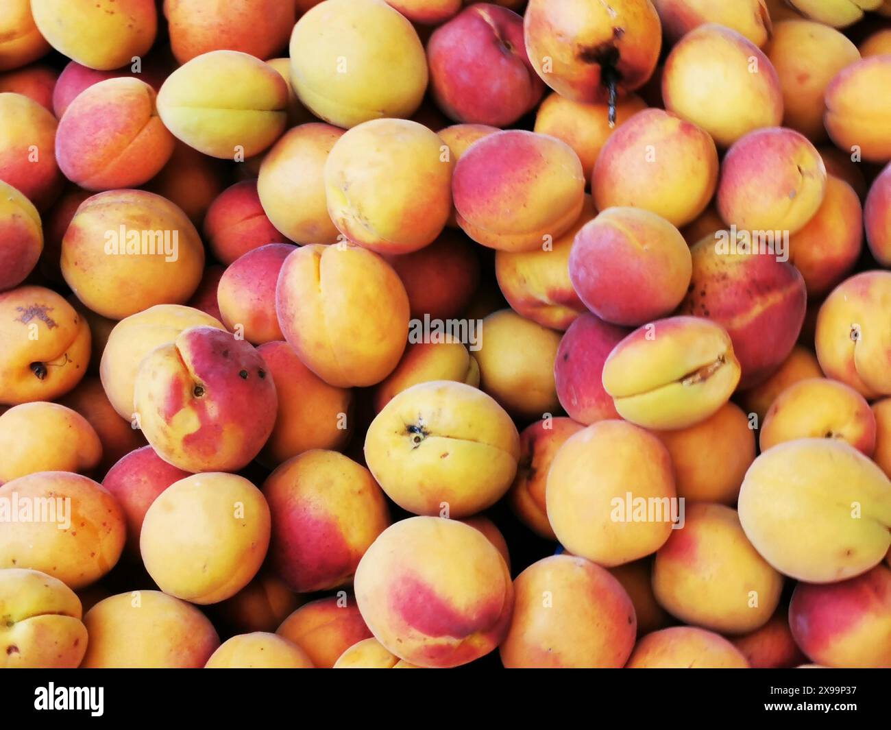 texture de fruits d'abricots frais comme fond de nourriture agréable Banque D'Images