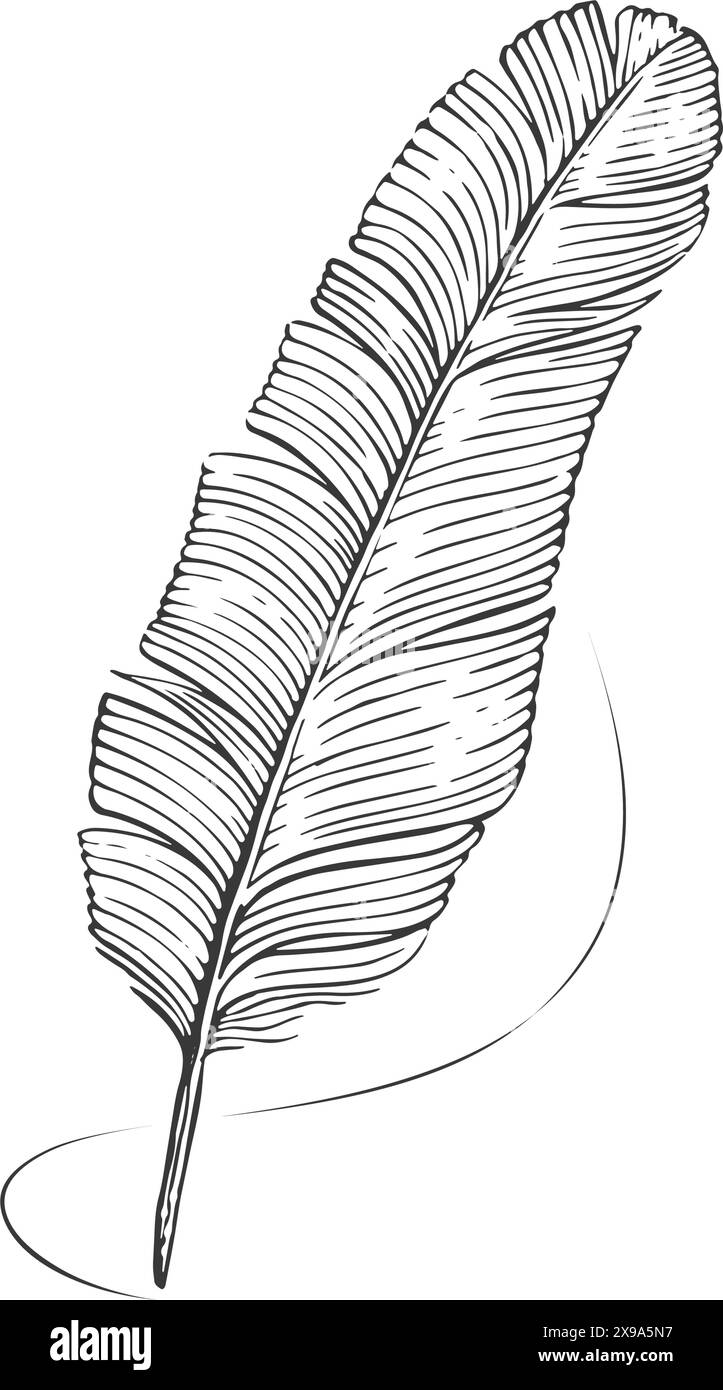 Plume de plume vintage, stylo d'écriture à encre. Écrivain et symbole de poésie. Style de dessin au trait dessiné à la main Illustration de Vecteur