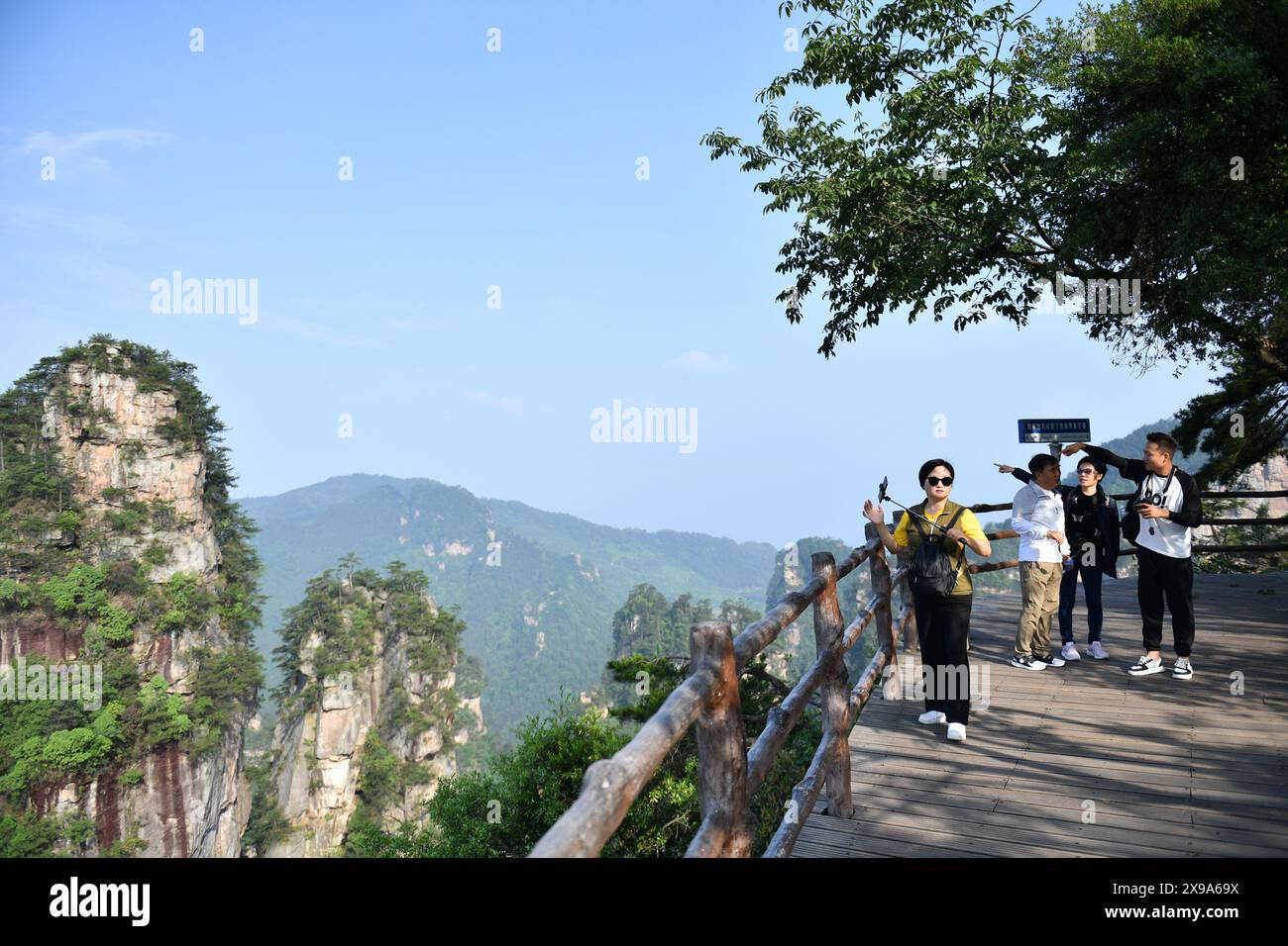 (240530) -- ZHANGJIAJIE, 30 mai 2024 (Xinhua) -- des touristes sud-coréens visitent le site pittoresque de Huangshizhai dans le parc forestier national de Zhangjiajie à Zhangjiajie, dans la province du Hunan en Chine centrale, le 28 mai 2024. Au premier trimestre de 2024, Zhangjiajie a connu 105 100 voyages touristiques sud-coréens, une augmentation de 27,07 pour cent par rapport à la même période en 2019, et représente 40,23 pour cent du nombre total de touristes entrants à Zhangjiajie. Actuellement, il existe des vols directs depuis cinq villes de Corée du Sud vers Zhangjiajie, dont Séoul et Busan, avec un total de 52 vols par semaine. (Xinhua/Chen Zhe Banque D'Images