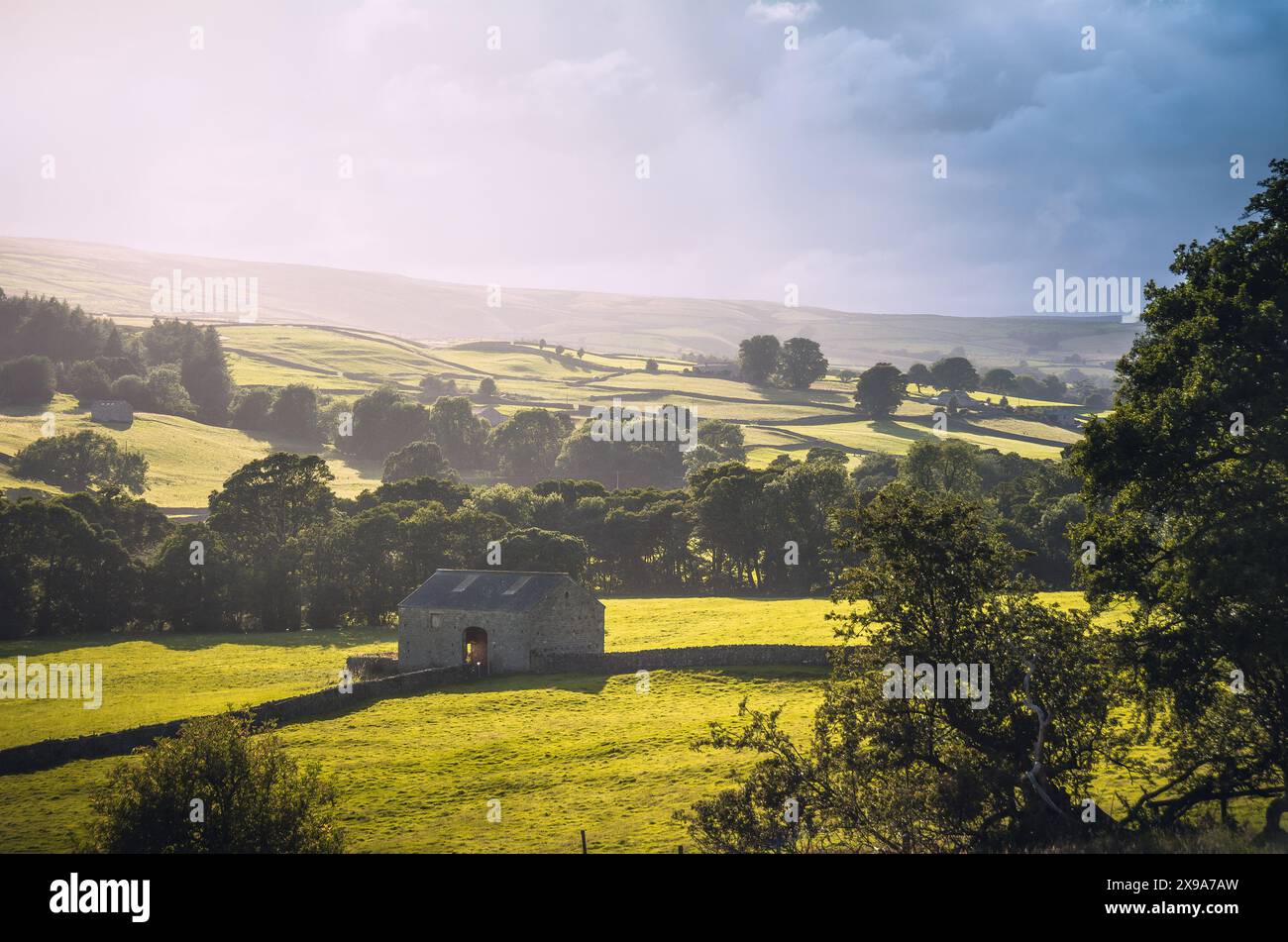 Nidderdale Fields Banque D'Images