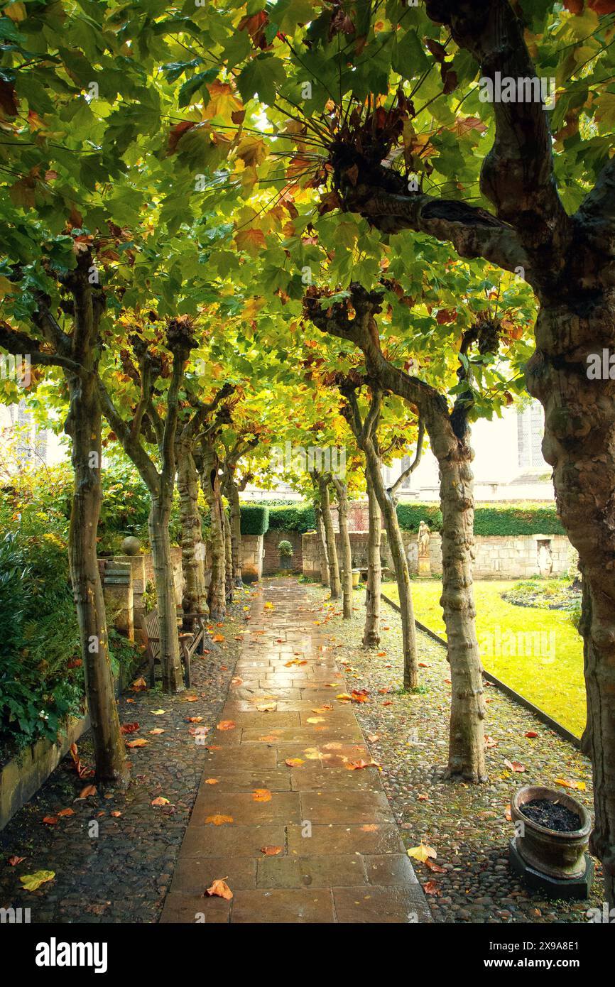 Treasurer's House Gardens, York Banque D'Images