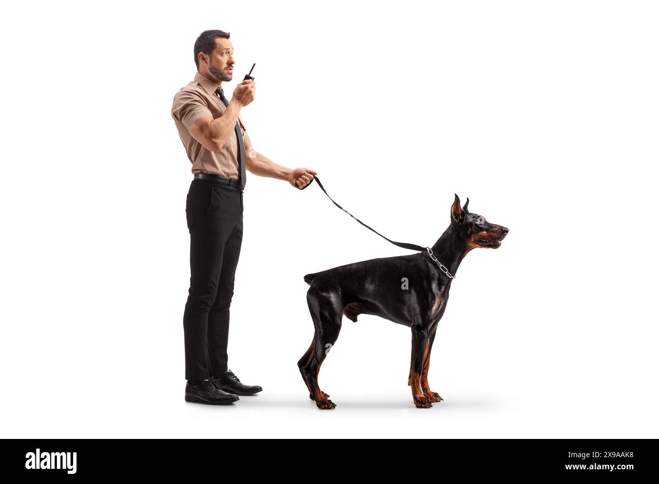 Agent de sécurité avec un chien doberman utilisant un talkie-walkie isolé sur fond blanc Banque D'Images
