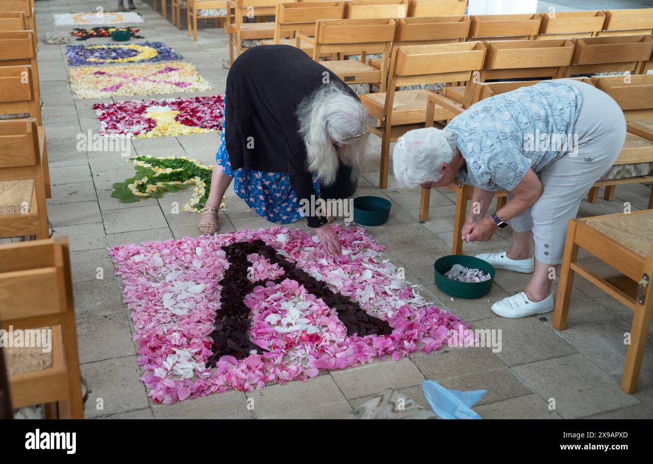 Copus Christi fleurs en cours de pose à Thaxted Church, Thaxted Essex 30 mai 2024 les membres de Thaxted Floral Society et les membres de l'Église déposent des milliers de pétales de fleurs avant cette fête de la cérémonie du Corpus Christi a lieu lorsque la congragation marche à travers l'exposition de pétales. La fête est célébrée liturgiquement le jeudi suivant le dimanche de la Trinité. Crédit : BRIAN HARRIS/Alamy Live News Banque D'Images