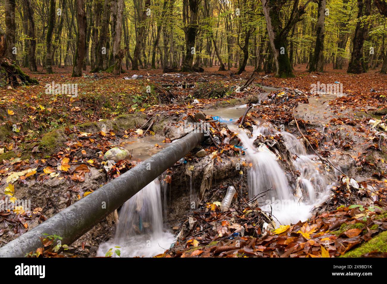 Bakou. Azerbaïdjan. 10.31.2021. Décharge d'ordures dans une belle forêt d'automne. Banque D'Images