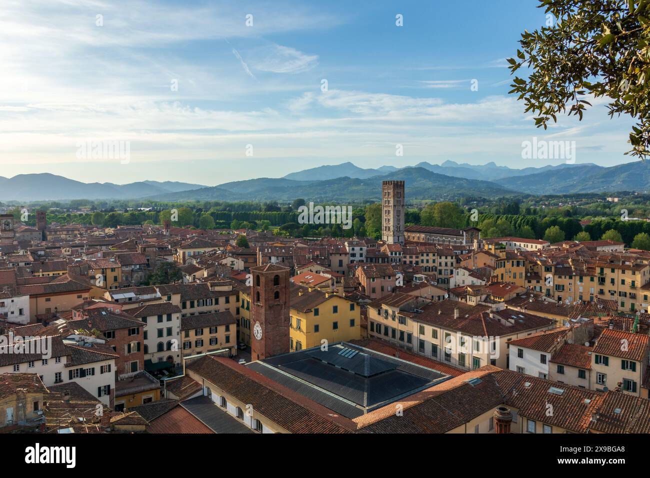 Les toits et les tours de la ville médiévale historique de Lucques en Toscane, Italie par une journée ensoleillée, pris de la Tour Guinigi au-dessus des rues. Banque D'Images