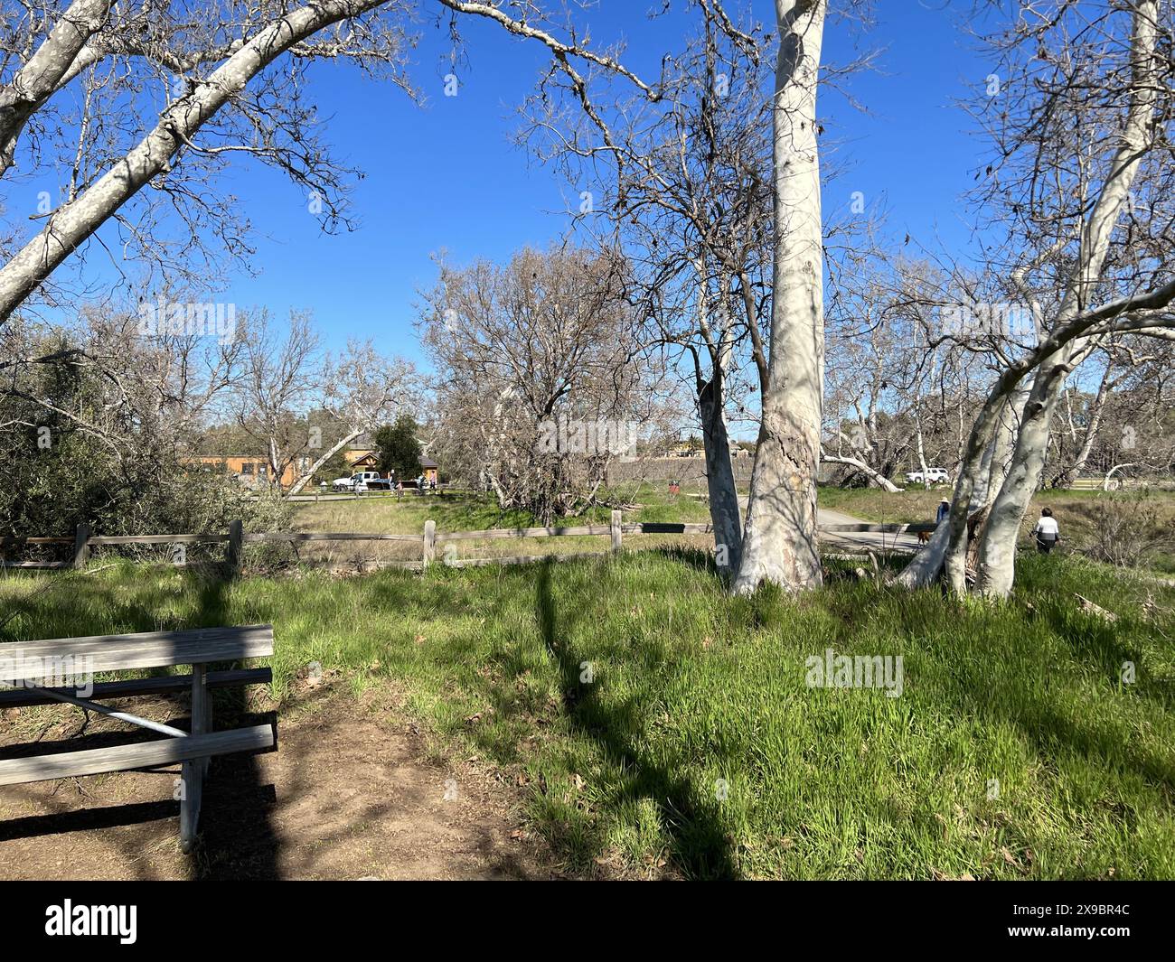 États-Unis. 06th févr. 2022. Des arbres et des tables de pique-nique sont visibles au parc Sycamore Grove, un parc de Livermore, en Californie, le 6 février 2022. Photo avec l'aimable autorisation de Sftm. (Photo de Gado/Sipa USA) crédit: SIPA USA/Alay Live News Banque D'Images