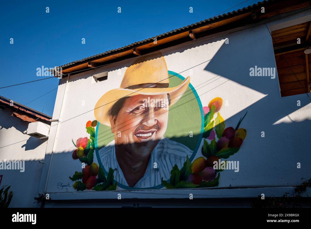 Murale montrant un homme encerclé de fruits, San Pedro la Laguna, Lac Atitlan, Guatemala Banque D'Images