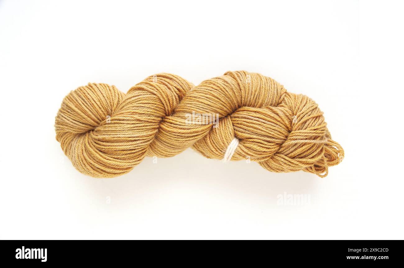 Photo de dessus de table d'un fil beige tordu hank isolé sur un fond blanc, pose plate d'écheveaux de laine teints à la main Banque D'Images