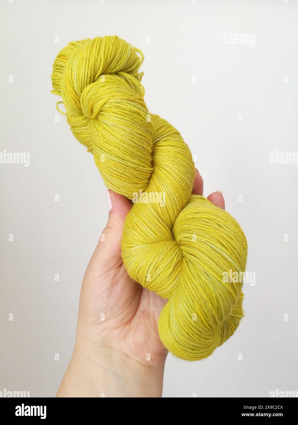Photo en gros plan d'un écheveau de fil mince teint à la main jaune-vert tordu dans la main d'une femme sur un fond blanc Banque D'Images