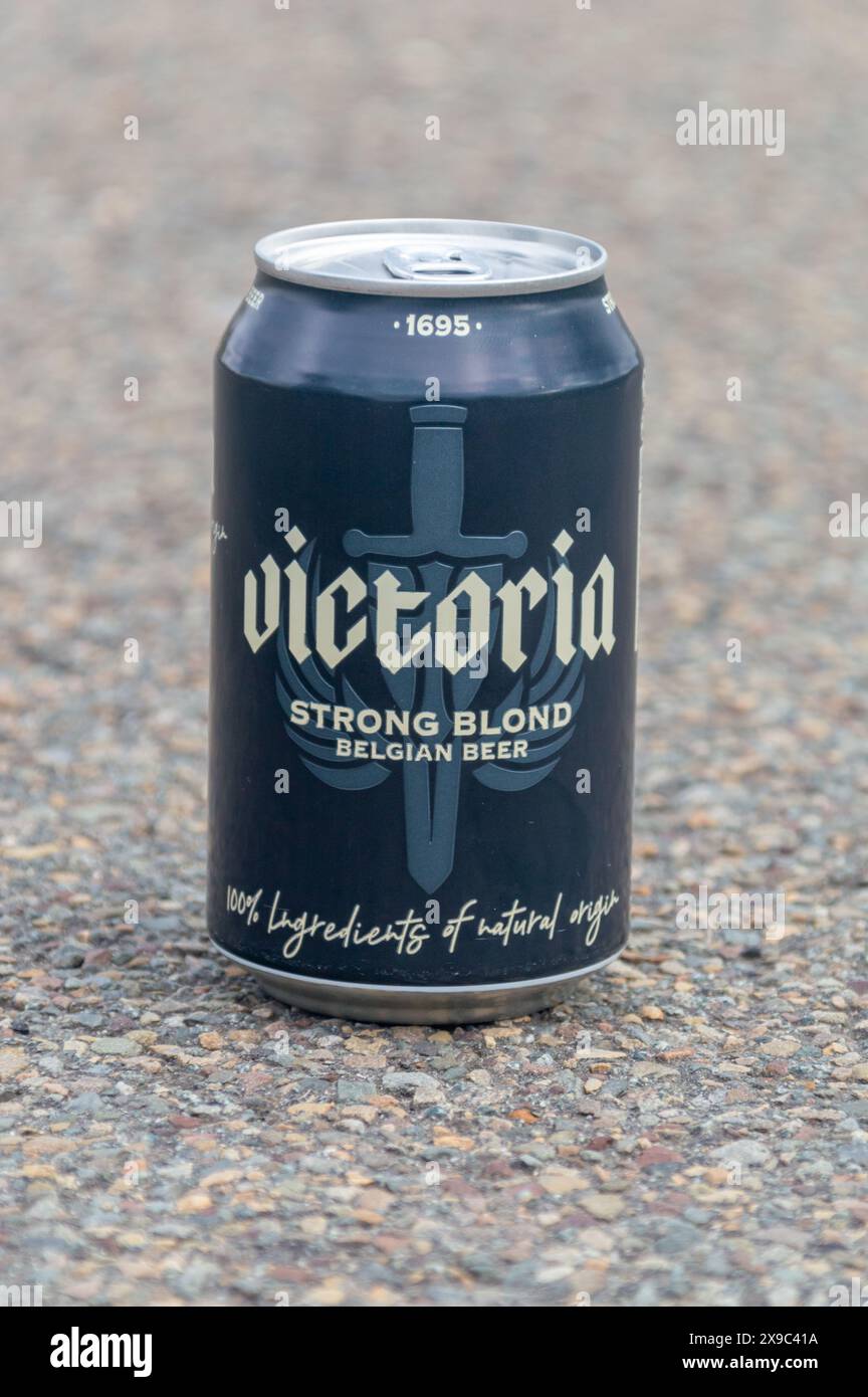Anvers, Belgique - 24 février 2024 : canette de bière belge blonde forte de Victoria. Banque D'Images
