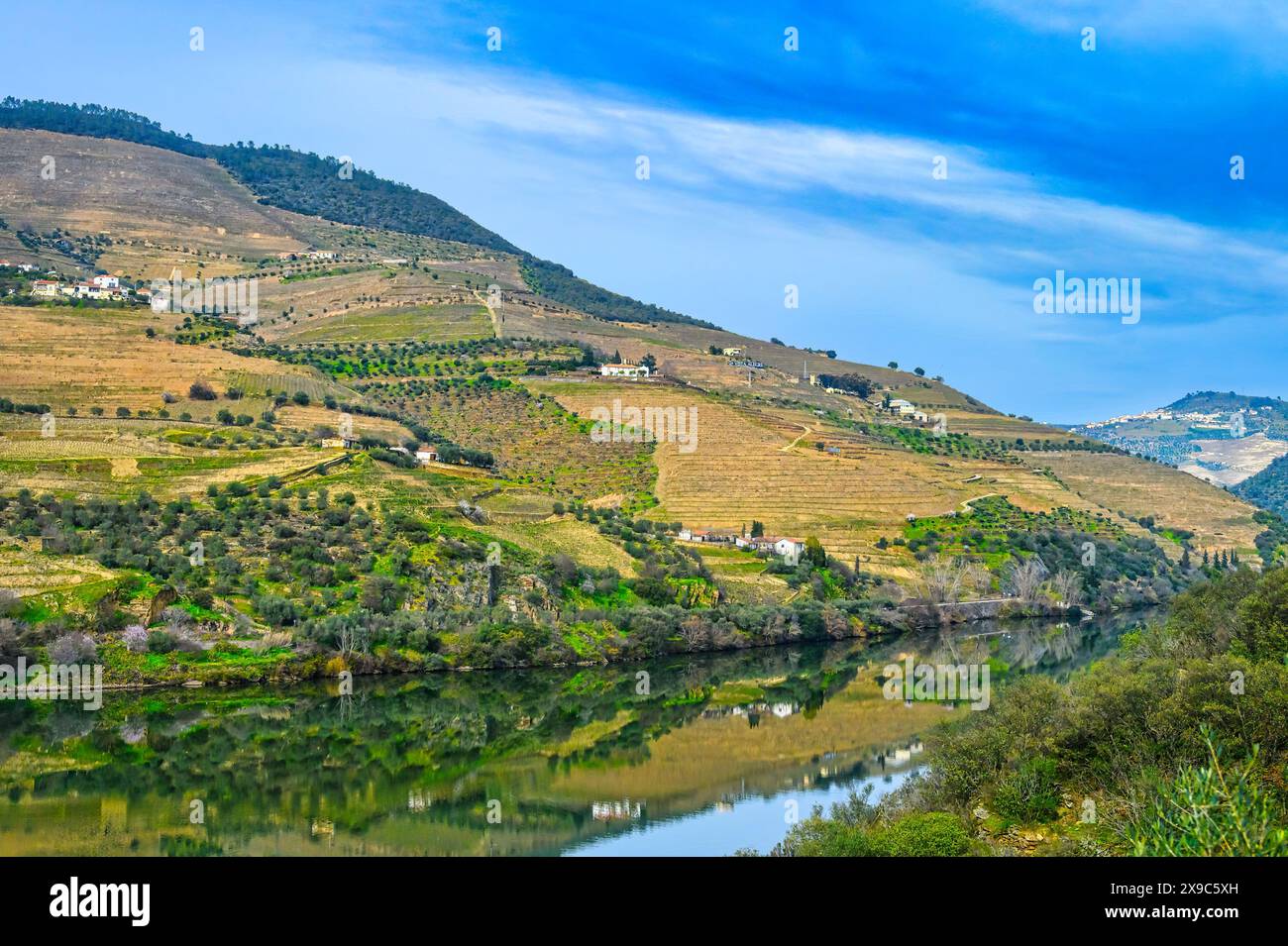 Paysage Vallée du Douro, Portugal Banque D'Images