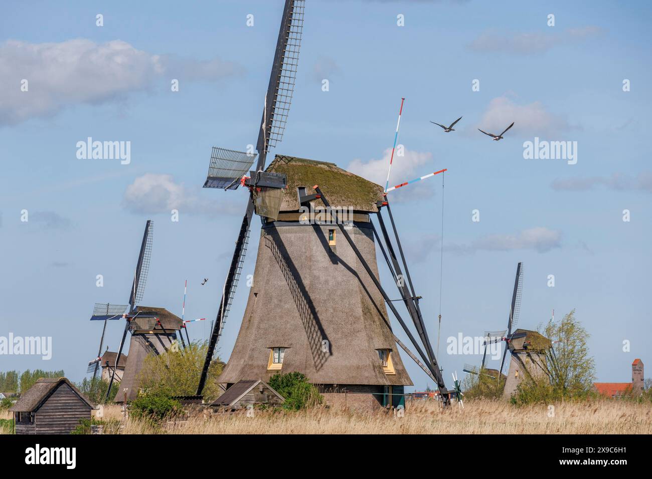 Plusieurs moulins à vent par un jour de printemps venteux sous un ciel nuageux, moulins à vent de Kinderdijk sur une rivière, Kinderdijk, pays-Bas Banque D'Images