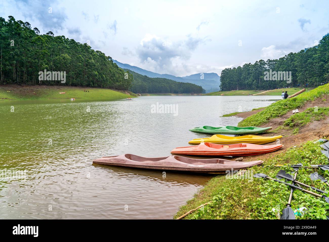 Mattupetty Dam, près de Munnar dans le district d'Idukki, est un barrage gravitaire en béton construit dans les montagnes du Kerala, en Inde Banque D'Images