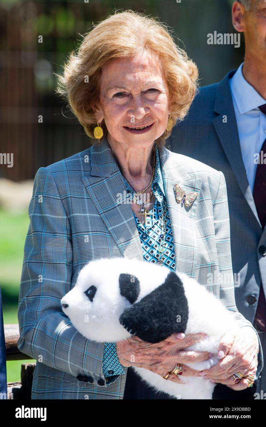 Sofia von Spanien BEI der offiziellen Präsentation der Pandabären Jin Xi und Zhu Yu im Zoo Aquarium de Madrid. Madrid, 30.05.2024 *** Sofia d'Espagne à la présentation officielle des ours panda Jin Xi et Zhu Yu au Zoo Aquarium de Madrid, 30 05 2024 Foto:xDyDxFotografosx/xFuturexImagex sofia 4507 Banque D'Images