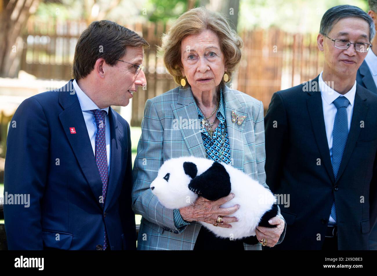 Jose Luis Martinez-Almeida und Sofia von Spanien BEI der offiziellen Präsentation der Pandabären Jin Xi und Zhu Yu im Zoo Aquarium de Madrid. Madrid, 30.05.2024 *** Jose Luis Martinez Almeida et Sofia d'Espagne lors de la présentation officielle des panda Jin Xi et Zhu Yu au Zoo Aquarium de Madrid, 30 05 2024 Foto:xDyDxFotografosx/xFuturexImagex sofia 4511 Banque D'Images