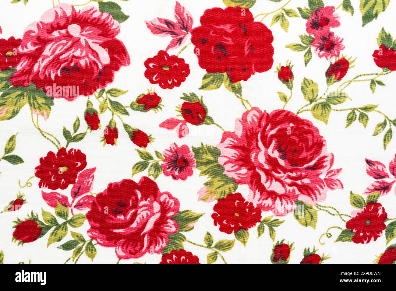 Tissu floral antique avec motif de grappes. Banque D'Images